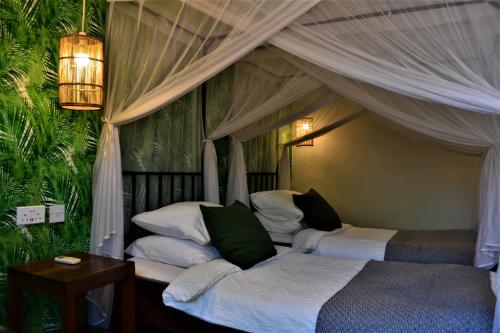 利隆圭Mitengo House的一间卧室设有两张床和天篷