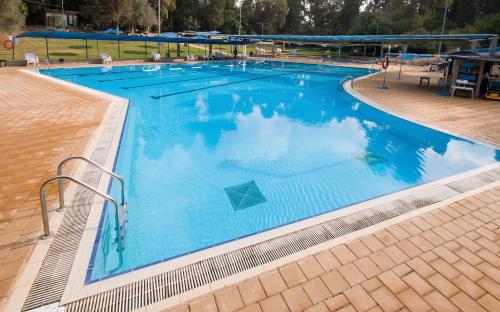 Daliyya佐哈巴德施酒店的大型游泳池的顶部景色
