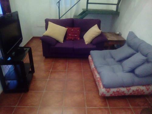 阿亚蒙特El Mirador de la Desembocadura的客厅配有紫色沙发和桌子