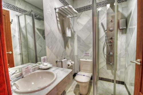 米拉多尔阿拉贝鲁赫酒店的一间浴室