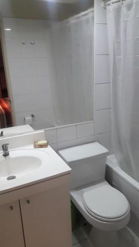 圣地亚哥Dpto 1D 1B, Metro Bellas Artes, equipado full con WiFi的浴室配有卫生间、盥洗盆和淋浴。