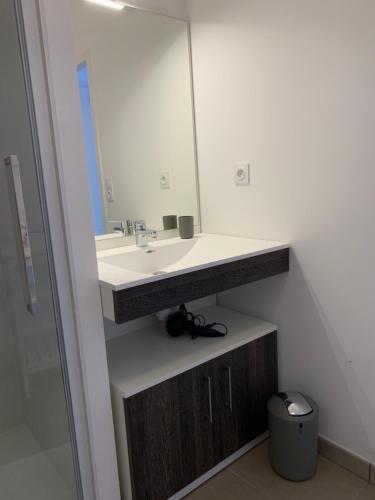 波尔尼克LE CLOS SAINTE MARIE的一间带水槽和镜子的浴室
