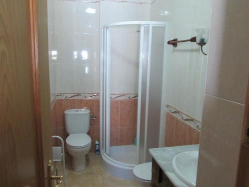 卡索拉alojamiento fernando的带淋浴、卫生间和盥洗盆的浴室