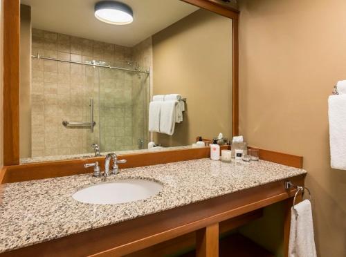史蒂文森斯卡马尼亚旅馆的一间带水槽和镜子的浴室