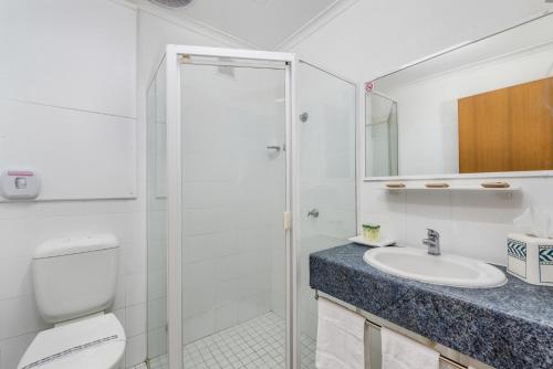 纽卡斯尔Tudor Inn Newcastle的浴室配有卫生间、盥洗盆和淋浴。