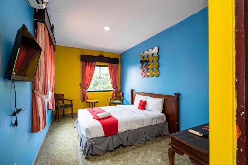 茂物RedDoorz near Istana Bogor的一间卧室配有一张床和一台电视。