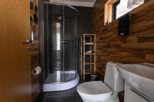 弗吕济塔尔贝尔宾馆的带淋浴、卫生间和盥洗盆的浴室