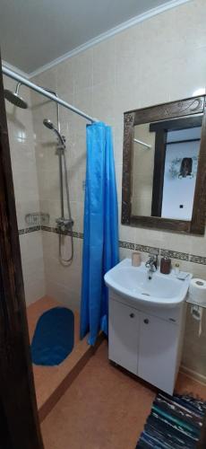 塔曼Диканька на Тамани 2的带淋浴、盥洗盆和镜子的浴室