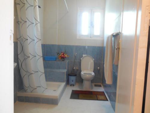 卢克索卢克索杰济拉花园酒店的浴室配有卫生间、盥洗盆和淋浴。