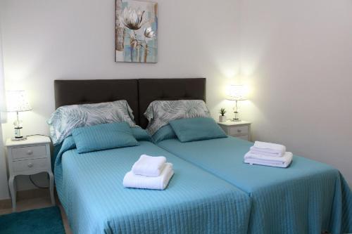 卡萨雷斯Penthouse Patio de doña Julia的一间卧室配有蓝色的床和毛巾