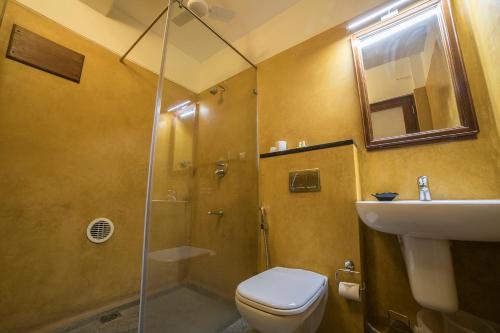 蓬蒂切里Petit Palais的带淋浴、卫生间和盥洗盆的浴室