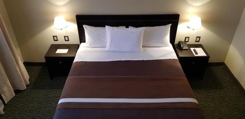 卡拉马迪亚哥德阿尔马格罗奥拓罗亚卡拉马酒店的酒店客房,设有一张带2个床头柜的床
