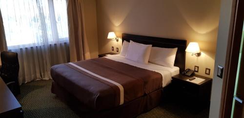 卡拉马迪亚哥德阿尔马格罗奥拓罗亚卡拉马酒店的酒店客房设有一张大床和两盏灯。