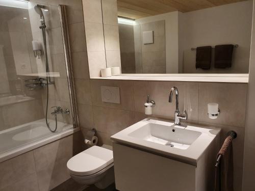 SubingenWohnstation President Suite的一间带水槽、卫生间和淋浴的浴室