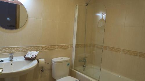 仕格莱Apartamento Palacio Azcárate Calle San Isidro的浴室配有卫生间、盥洗盆和淋浴。