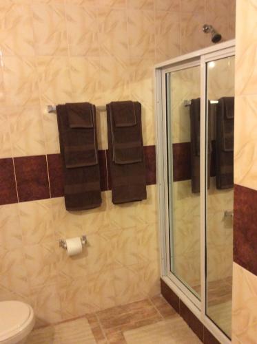 RichmondJamaica Dream Gateway的带淋浴、卫生间和毛巾的浴室