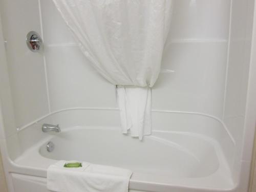 哈利法克斯哈利法克斯未来旅馆及会议中心的白色的浴室设有浴缸和淋浴帘