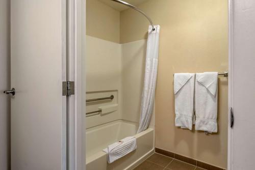达尔斯哥伦比亚峡谷康福特茵酒店的浴室配有浴缸、淋浴和毛巾。