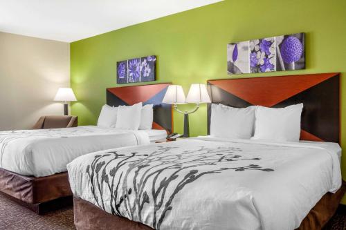 密尔沃基密尔沃基机场司丽普套房酒店的绿墙旅馆客房的两张床