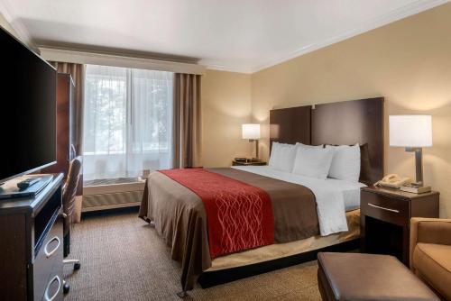 达尔斯哥伦比亚峡谷康福特茵酒店的酒店客房,配有床和电视