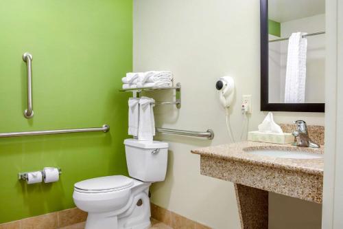 密尔沃基密尔沃基机场司丽普套房酒店的一间带卫生间、水槽和镜子的浴室