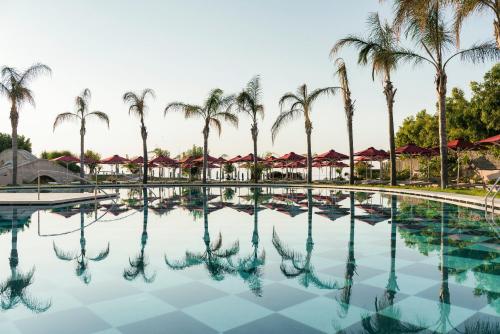 法里拉基埃斯佩罗斯宫度假酒店的一座棕榈树环绕的大型游泳池