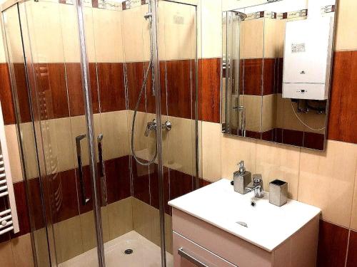 塞格德Olga Apartman的带淋浴和盥洗盆的浴室