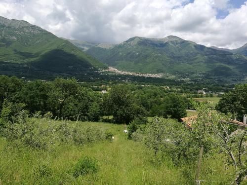 圣多纳托瓦尔迪科米诺Tenuta Castelli的绿地,有树木和山脉