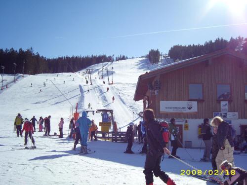 比绍夫斯维森海泽凯泽旅馆的一群人,在滑雪小屋的滑雪场