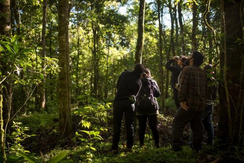 CopeyCedrela Eco-Lodge & Restaurante的一群人在树林里拍照