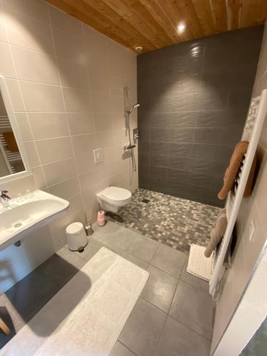 奥尔西讷Coté Puy-De dôme的带淋浴、盥洗盆和卫生间的浴室
