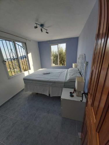 孔佩塔Las Golondrinas的一间卧室设有一张大床和两个窗户。