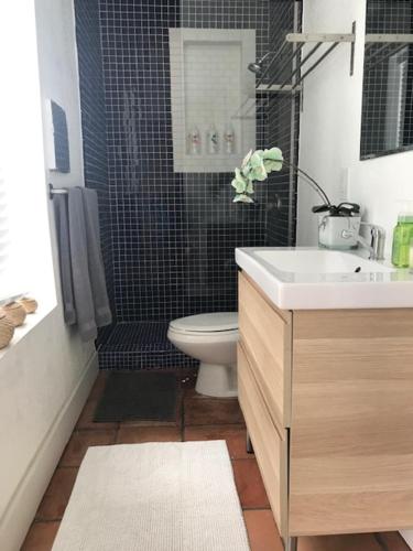 迈阿密Little havana paradise的浴室配有卫生间、盥洗盆和淋浴。