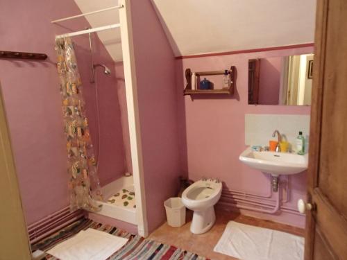 卢埃France Petit Château的带淋浴、卫生间和盥洗盆的浴室