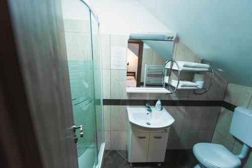 下维谢乌乡Pensiunea Valea cu Salcâmi的一间带水槽、淋浴和镜子的浴室