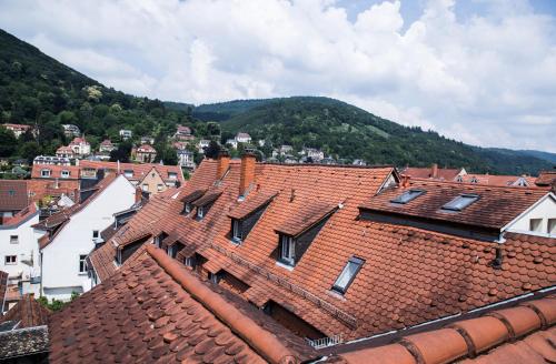 海德堡市政厅酒店的享有以山为背景的城镇屋顶的景色