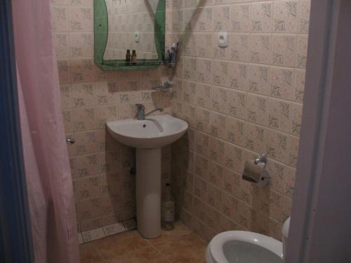 萨克德佐尔镇Ani Guest House的一间带水槽、镜子和卫生间的浴室