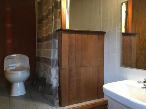 科查莫La Casona Puelo Lodge的一间带卫生间和水槽的浴室