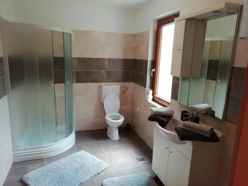 拉宾hostel Stalno Sretan的一间带卫生间和玻璃淋浴间的浴室