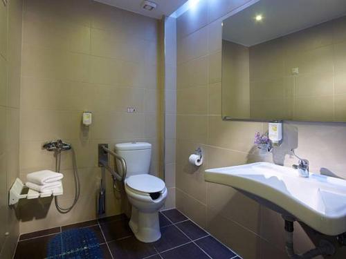 波尔塔里亚匹利昂特拉酒店的一间带卫生间、水槽和镜子的浴室