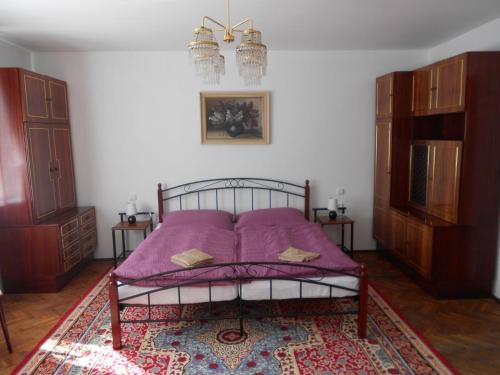 LanžhotUbytování U babičky的一间卧室配有一张带紫色毯子的床
