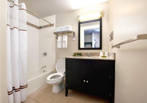 华盛顿Kellogg Conference Hotel Capitol Hill at Gallaudet University的一间带卫生间、水槽和镜子的浴室