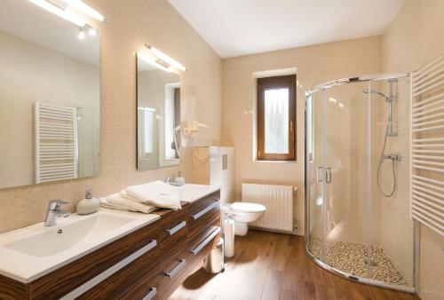维谢格拉德Harangvirág Apartmanház - Visegrád的一间带水槽、淋浴和卫生间的浴室