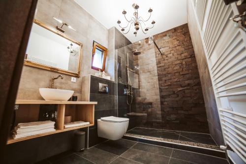 托普利察Casa Cifu Toplita的带淋浴、卫生间和盥洗盆的浴室