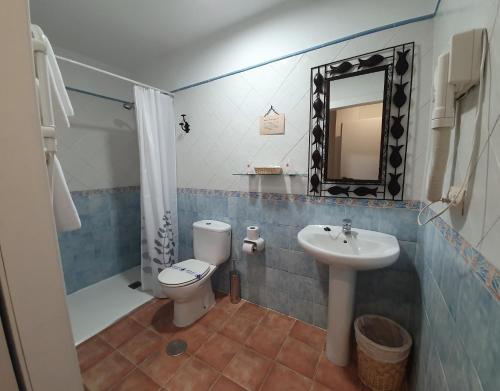 阿里翁达斯阿利昂达斯冬青树酒店的一间带卫生间、水槽和镜子的浴室