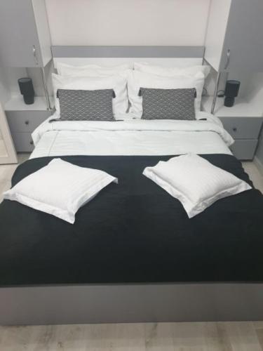 拉姆尼库沃尔恰Studio David的一间卧室配有两张带白色枕头的床