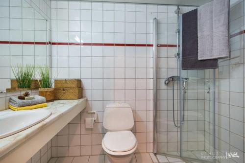 奥尔Actif 305 Apartment by Ål Ski Center的浴室配有卫生间、盥洗盆和淋浴。