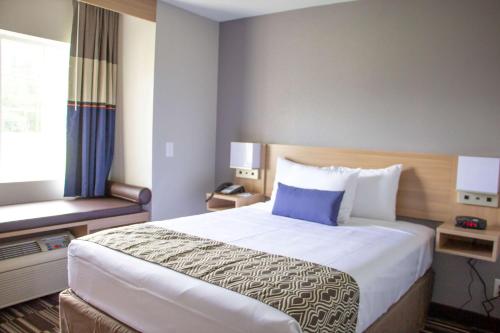 杰克逊维尔Microtel Inn & Suites by Wyndham Camp Lejeune/Jacksonville的一间设有大床和窗户的酒店客房
