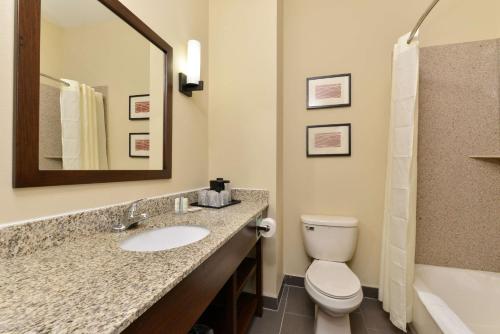 曼海姆曼海姆康福特茵套房酒店的一间带水槽、卫生间和镜子的浴室
