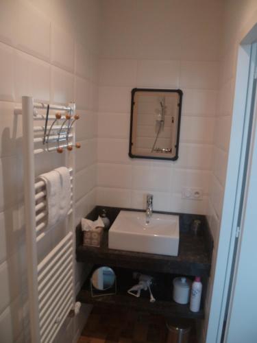 莱瑟佩瑟La Maison du Parc的一间带水槽和镜子的浴室